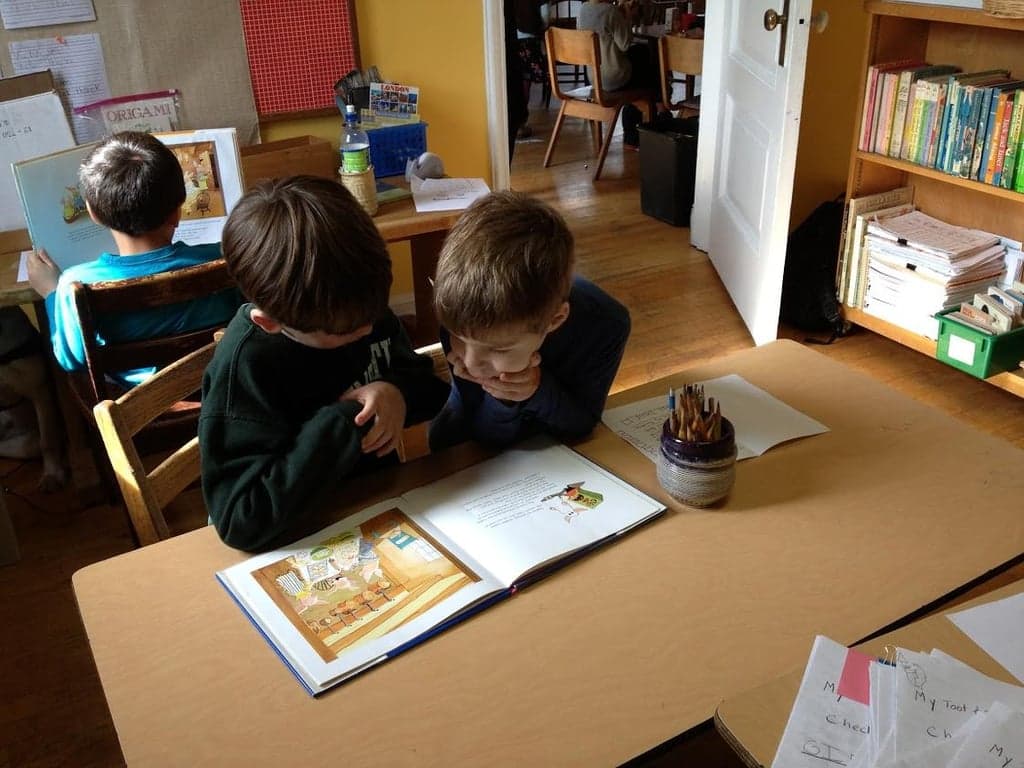 The Lake And Park School