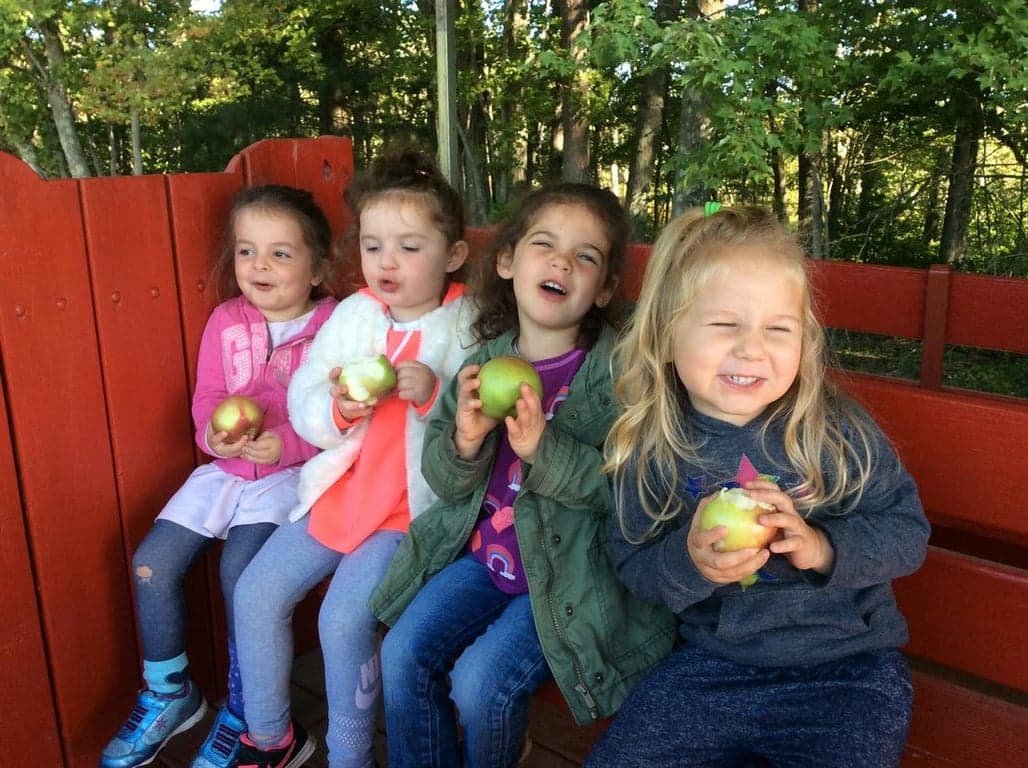 Jewish Community Day School Of Rhode Island