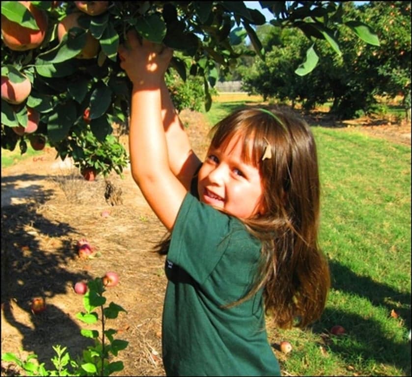 First Presbyterian Academy