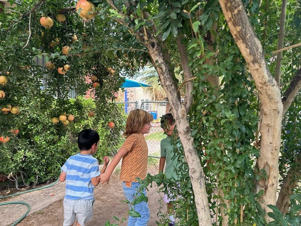 Mountain West Montessori