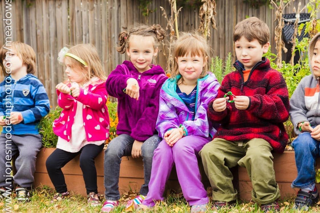 Meadows Montessori