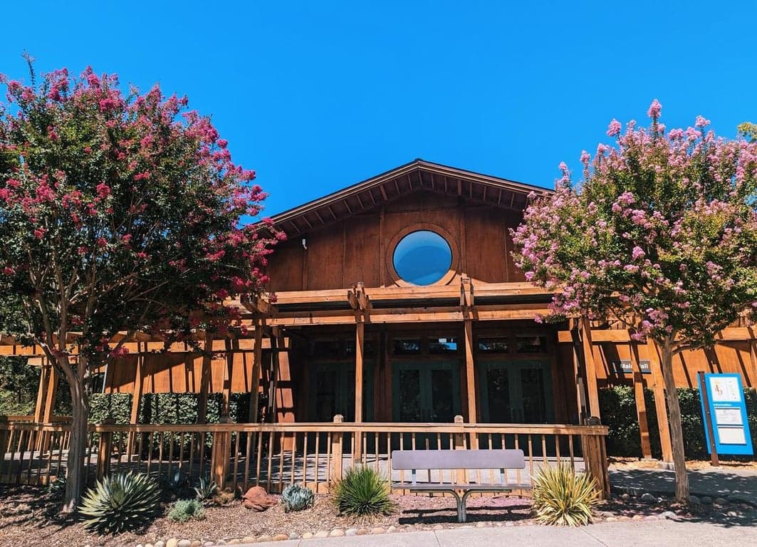 The Springstone School