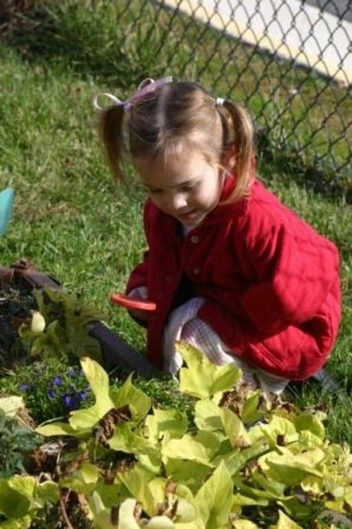 Golden Pond School