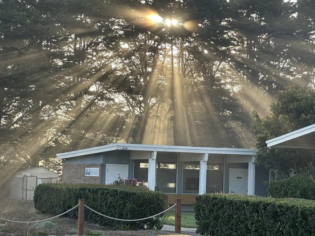 Children's Montessori School