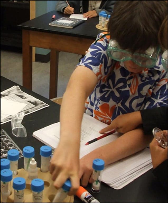 Mountain Academy Of Teton Science Schools