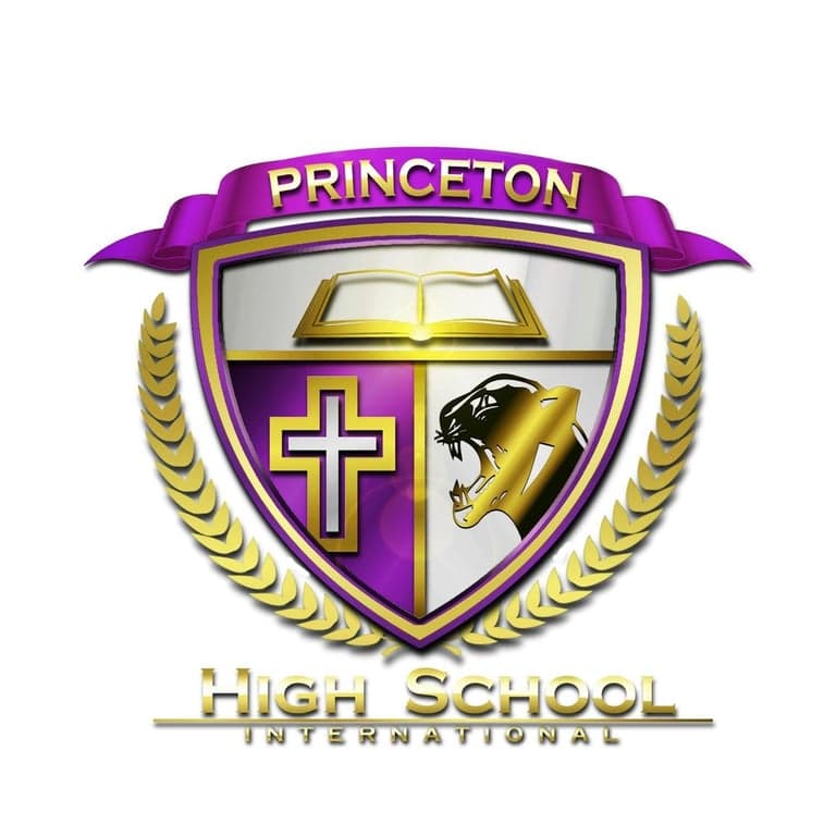 Princeton High School International