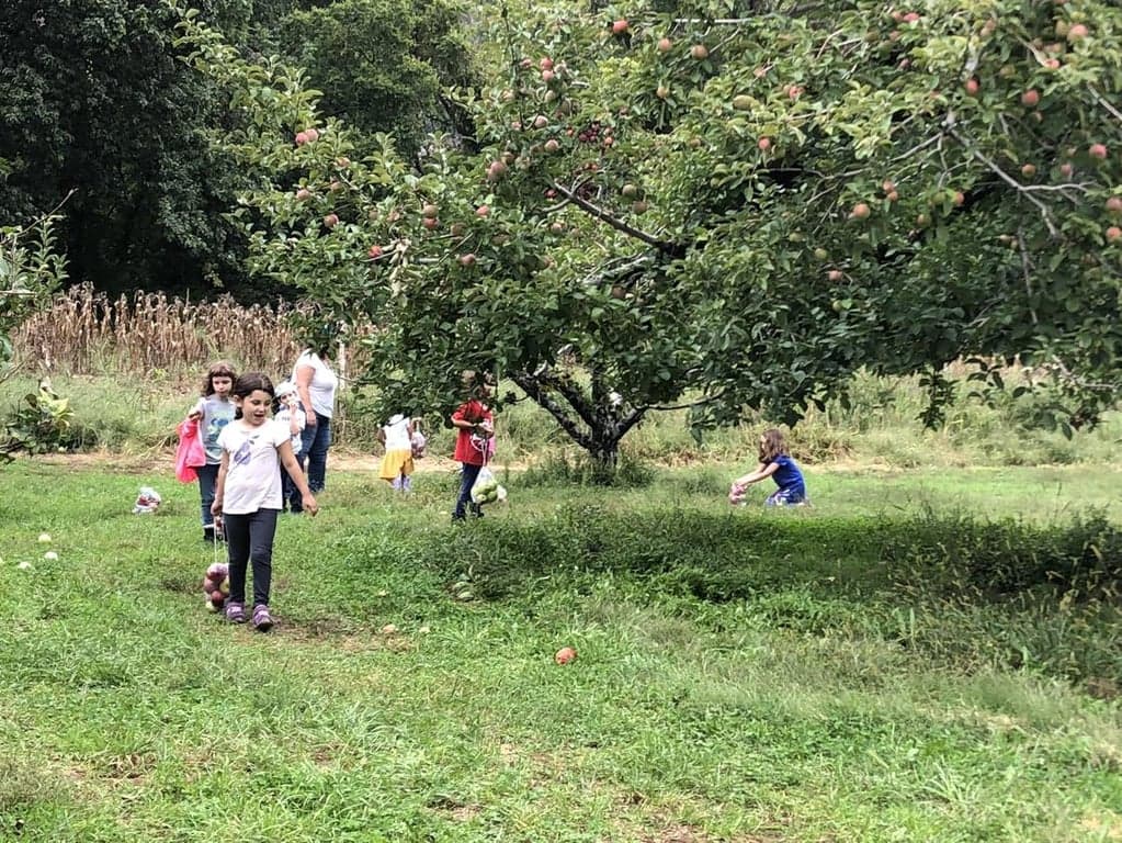 Beit Rabban Day School