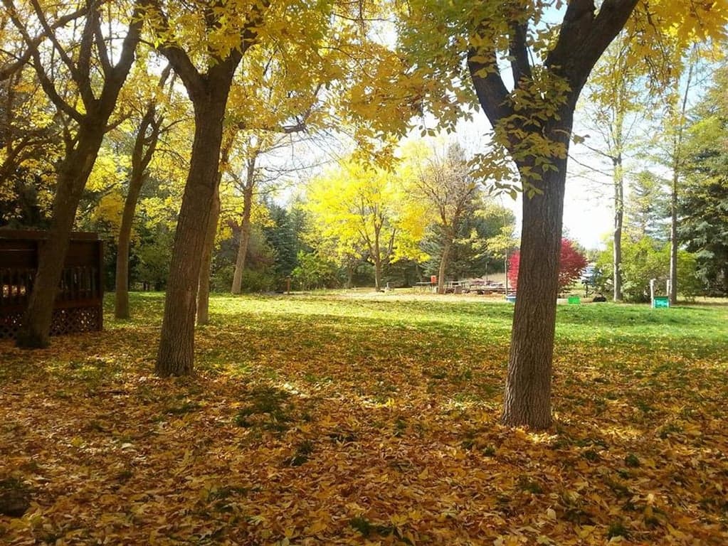 Lighthouse Montessori School