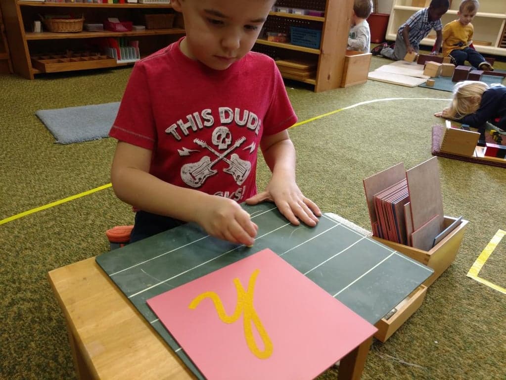 Montessori In The Woods