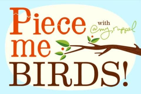 Special Needs App of the Day: Piece Me Birds