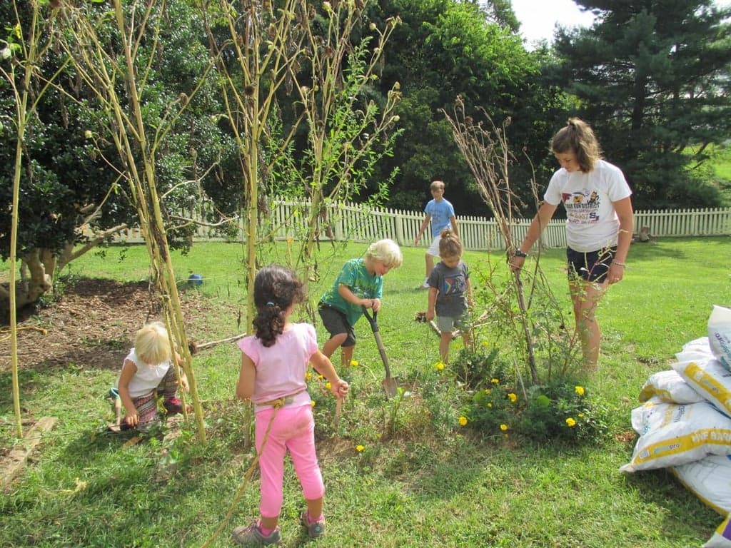 Middleburg Montessori School