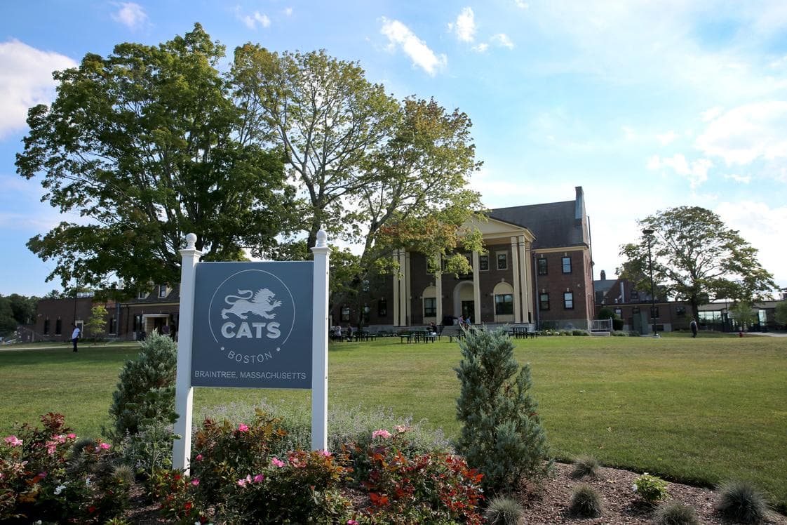 Cats Academy