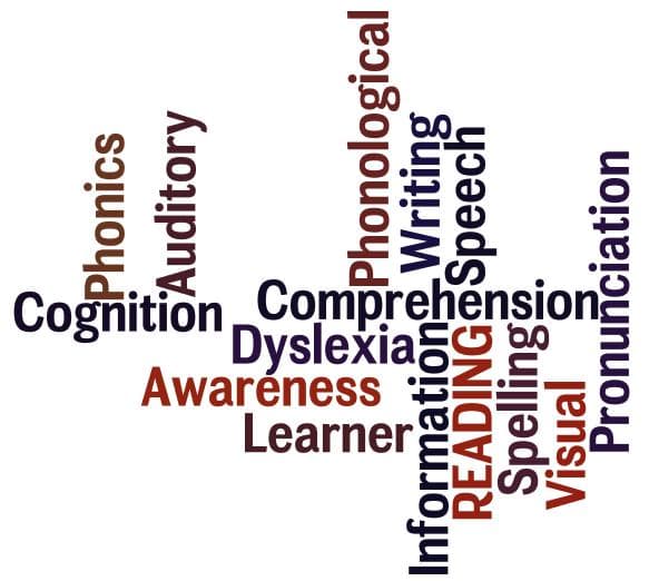 Go to Pro Answering Your Questions: Placement for Language Based Learning Disabled (LBLD) Student