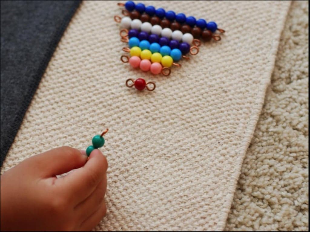 The Montessori Children's House Of York